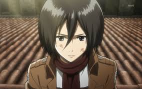 Perfil Silencioso mas mortal; leal como a Mikasa de AoT